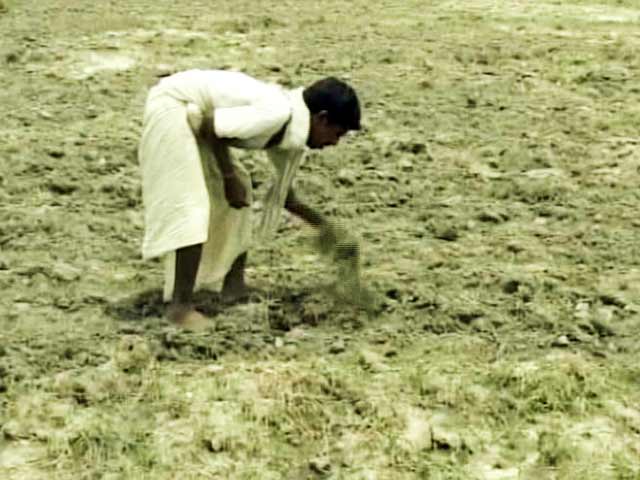 Finance Minister Arun Jaitley Allays Fear of Bad Monsoon