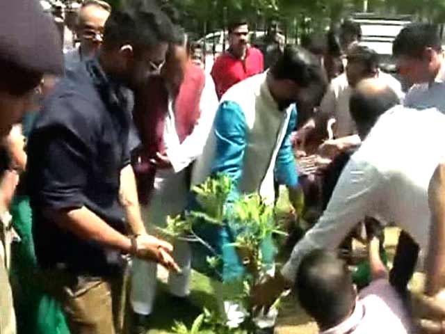 Virat Kohli Plants a Tree on World Environment Day