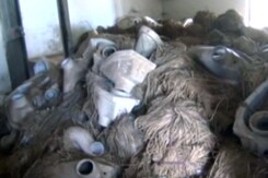 Toilet Scam in Madhya Pradesh District, Rs. 1 Crore Embezzled, Say Sources Toilet Scam in Madhya Pradesh District, Rs. 1 Crore Embezzled, Say Sources