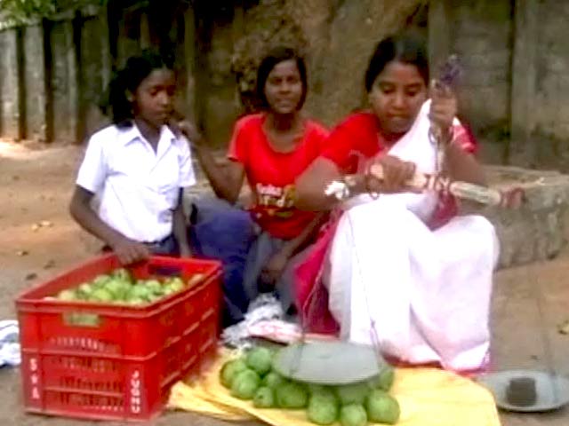 Videos : क्यों आम बेच रही हैं बीजेपी नेता करिया मुंडा की बेटी?