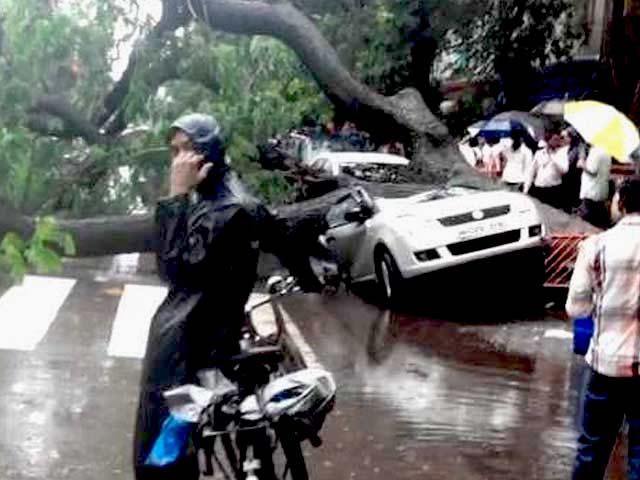 Heavy Rain in Mumbai Causes Extensive Damage, Trees Fall