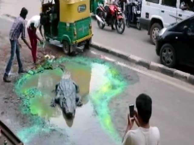 Videos : जब बेंगलुरू में मेन रोड पर दिखा खतरनाक मगरमच्छ