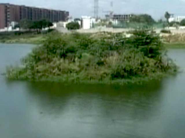 Video : Bengaluru Lakes Get a New Lease of Life