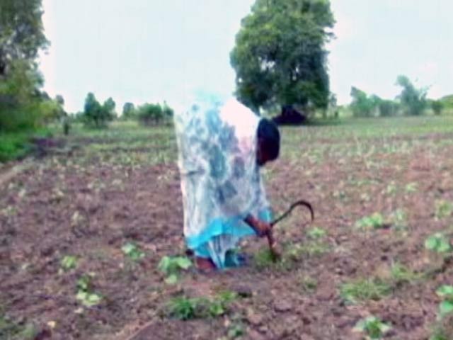 Videos : महाराष्‍ट्र : किसान की मौत के बाद साहूकार से वापस मिली ज़मीन