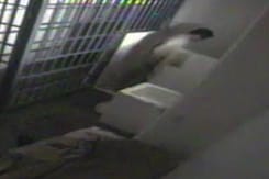 Video Shows Last Seconds in Jail of Escaped Druglord Video Shows Last Seconds in Jail of Escaped Druglord