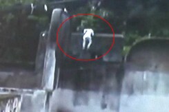 Prison Break Caught on Camera: Murder Convict Escapes in Madhya Pradesh Prison Break Caught on Camera: Murder Convict Escapes in Madhya Pradesh