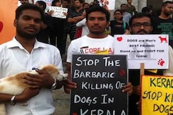 Bengaluru's Animal Lovers Protest Against Culling of Street Dogs by Kerala Bengaluru's Animal Lovers Protest Against Culling of Street Dogs by Kerala