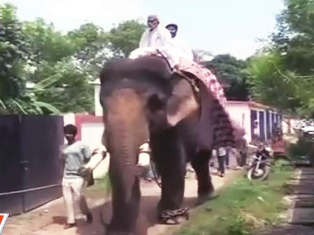 Videos : बिहार : जब हाथी पर सवार होकर विधानसभा पहुंचे जेडीयू विधायक