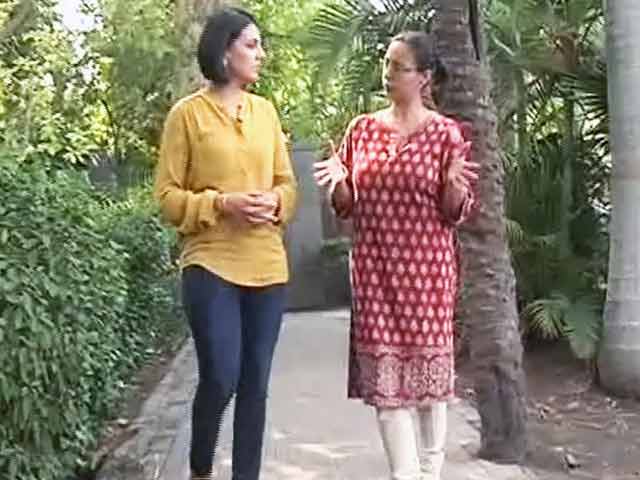 Air Purifiers and Indoor Plants Help Combat Pollution