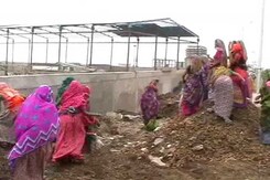 Massive Protests After Illegal Chemical Waste Dumped in Madhya Pradesh Villages Massive Protests After Illegal Chemical Waste Dumped in Madhya Pradesh Villages