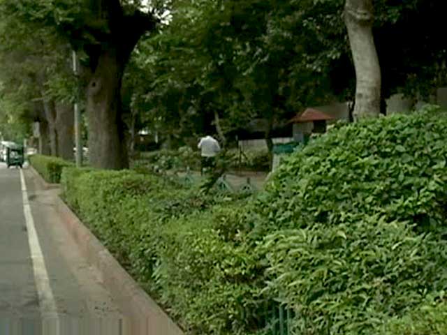 AAP Dilemma's: Build Roads or Save Trees?