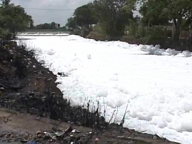 Video : Bengaluru Lakes Continue to Froth Ahead of Civic Elections
