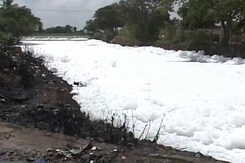 Bengaluru Lakes Continue to Froth Ahead of Civic Elections Bengaluru Lakes Continue to Froth Ahead of Civic Elections