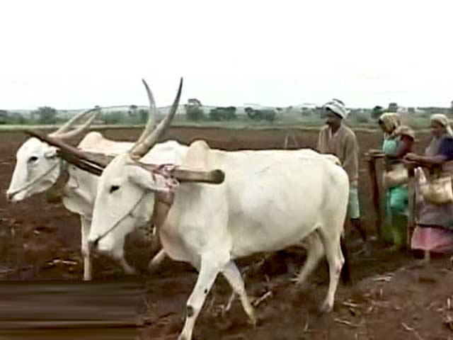 Karnataka Govt Puts Farmlands up for Sale