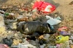 Shocking Tales of Waste Mismanagement from Bangalore's HBR Layout Shocking Tales of Waste Mismanagement from Bangalore's HBR Layout