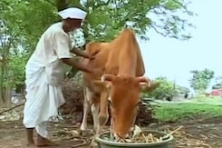 'I Appeal to PM Modi, Come Here, See What We Are Going Through', Says Beed Farmer 'I Appeal to PM Modi, Come Here, See What We Are Going Through', Says Beed Farmer