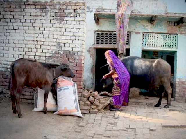 Green Champion: Raising Public Awareness on Environmental Issues Through Films