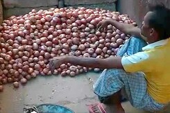 Why Onion Prices Have Climbed 300 Per Cent Why Onion Prices Have Climbed 300 Per Cent