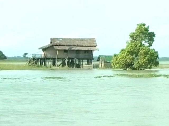 As Assam Floods Worsen, How Guards at Kaziranga are Coping
