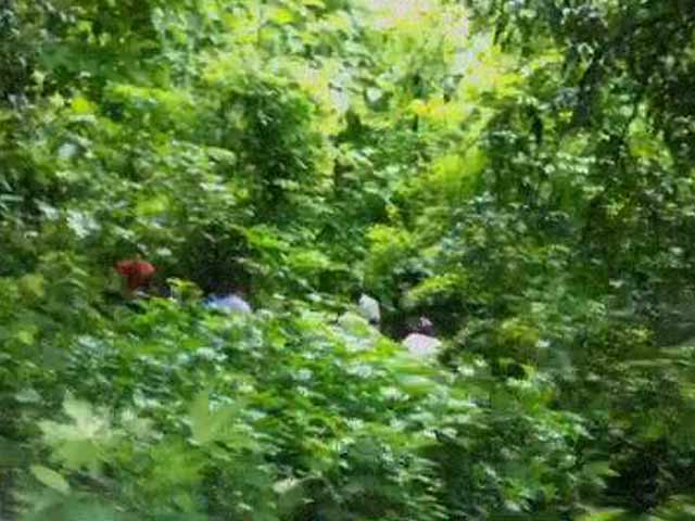 Sheena Bora's Body Parts Found Today in Forest, Claims Police