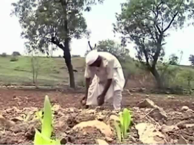 Videos : 15 राज्यों में सूखे के आसार, मध्य प्रदेश में बेहाल किसान