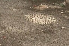 महाराष्ट्र के कुले में सूखे की मार, सुध लेने वाला कोई नहीं महाराष्ट्र के कुले में सूखे की मार, सुध लेने वाला कोई नहीं