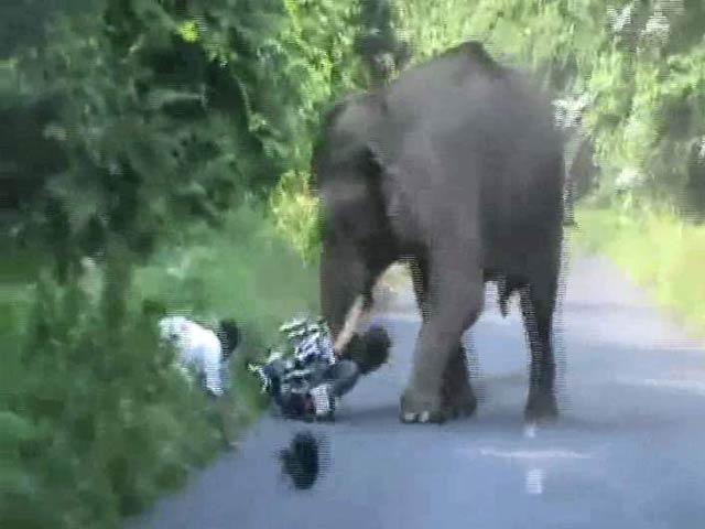 Narrow Escape for Bikers in Jumbo Attack