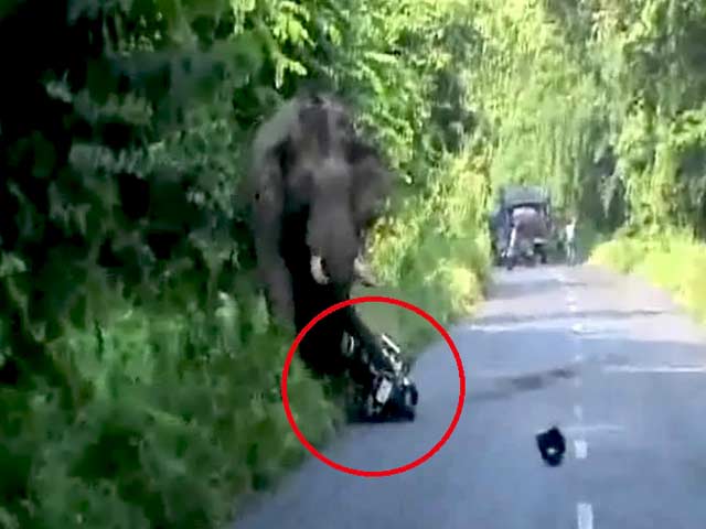 पश्चिम बंगाल : हाथी ने किया हमला, बाइक सवार बाल बाल बचे