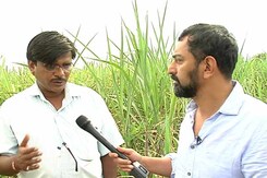 Truth vs Hype: Marathwada's Unequal Fields Truth vs Hype: Marathwada's Unequal Fields