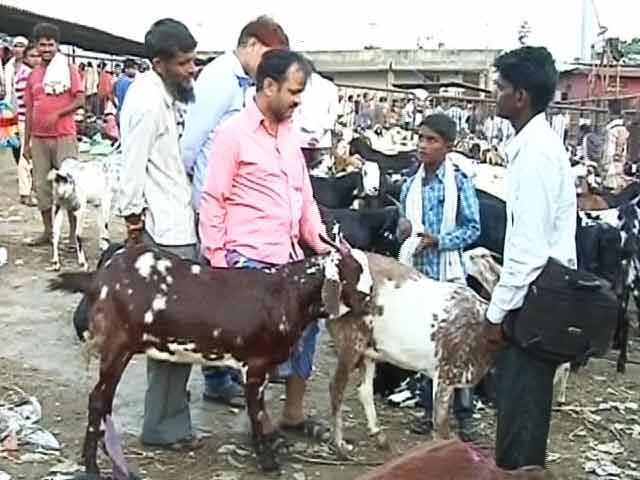 बकरों की ऑनलाइन शॉपिंग- 'बटन दबाओ, बकरा पाओ'