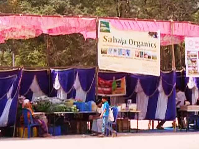 The Green Army is Setting Up a Mela Called - Millet Mela