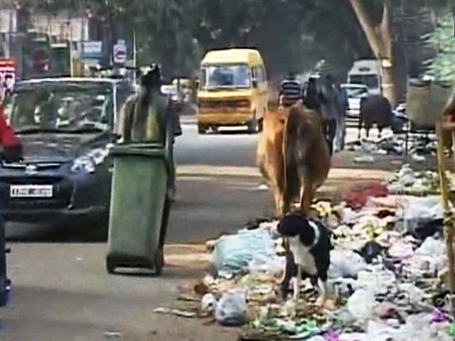 Citizen Voice: Garbage Stink Reaches Bengaluru Schools