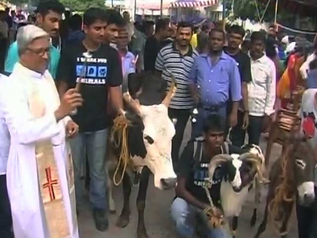 Video : Special Prayers For Pets at This Chennai Church