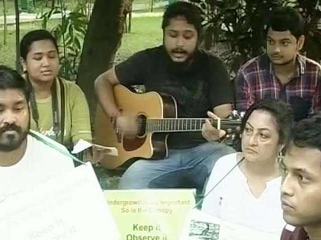 Video : In Kolkata, a Condolence Meet for a 'Murdered' Tree