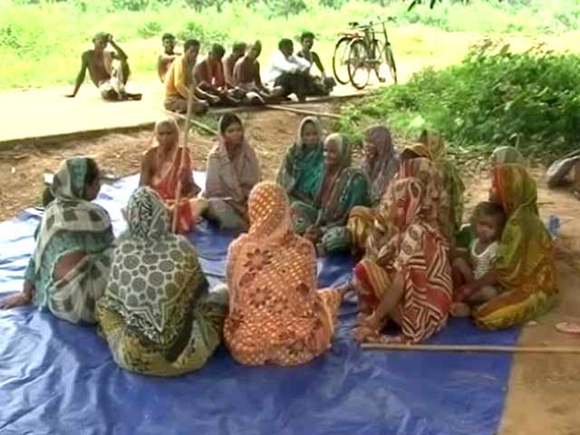 In an Odisha Village, a Bold Conservation Movement by Women