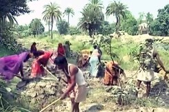 बिहार में मनरेगा की जमीनी हकीकत बिहार में मनरेगा की जमीनी हकीकत