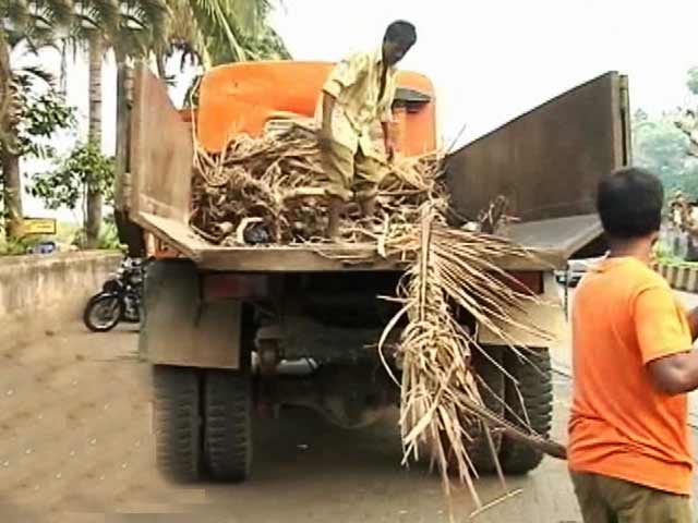 Citizens' Voice: A Mumbai Gang on Clean-up Mission