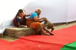 बिहार में मतदान केन्द्र पर बंदर ने मचाया आतंक, 5-6 लोगों को काटा बिहार में मतदान केन्द्र पर बंदर ने मचाया आतंक, 5-6 लोगों को काटा