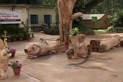 In Bengaluru's Cubbon Park, Artists Resurrect Deadwood In Bengaluru's Cubbon Park, Artists Resurrect Deadwood