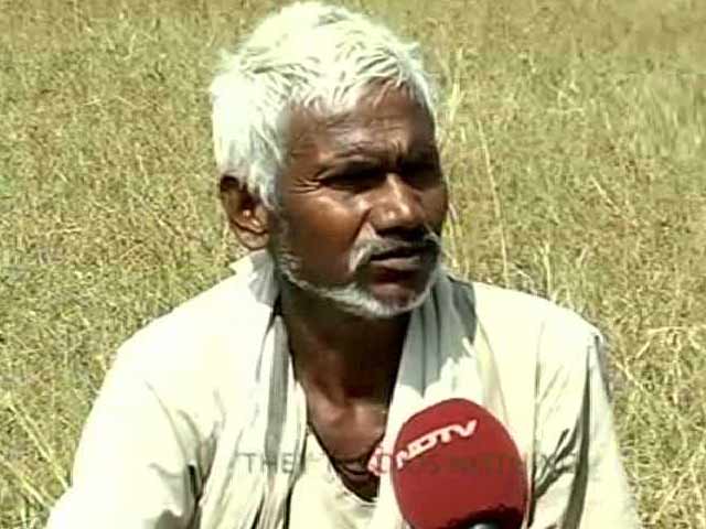Video : Despite Madhya Pradesh's Drought, One Crop is Flourishing