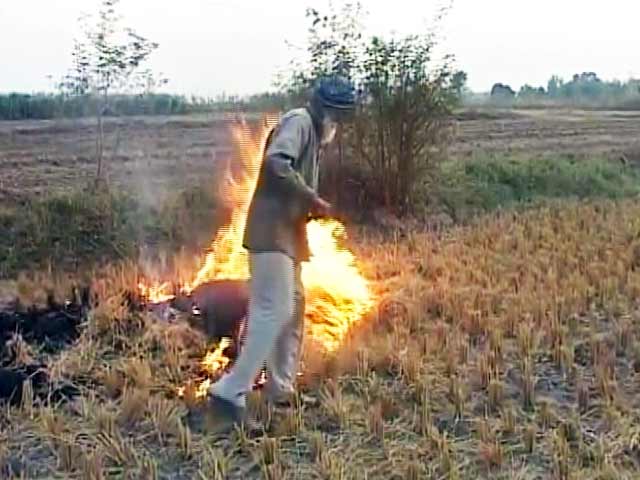 पंजाब के जलते खेतों से फैलता जहर, नासा ने जारी की तस्वीरें