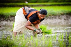 Cultivating Hope: A Campaign Highlighting Farmer Related Issues Cultivating Hope: A Campaign Highlighting Farmer Related Issues