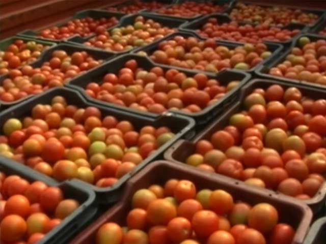 प्याज, दाल, सरसों के तेल के बाद अब टमाटर! सालभर में ढाई गुना महंगा
