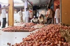 Onion Follows Dal Off the Table as Prices Go Up Onion Follows Dal Off the Table as Prices Go Up