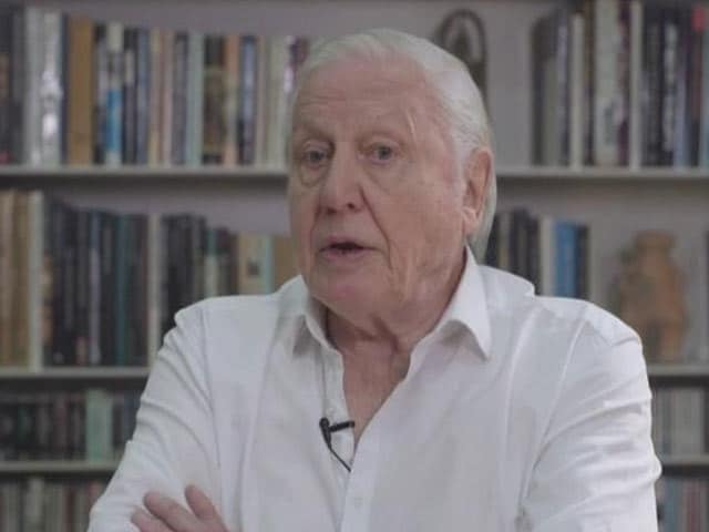 Video : 'Can't Grow Infinitely in Finite World': David Attenborough to NDTV