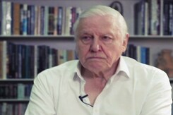 Exclusive Interview With Sir David Attenborough Exclusive Interview With Sir David Attenborough