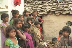'Grass, Weeds Traditional Diet': How UP Government Covered Up NDTV Report 'Grass, Weeds Traditional Diet': How UP Government Covered Up NDTV Report
