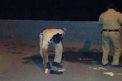 Bodies Of Mumbai Artist, Lawyer Found In Drain In Cardboard Boxes Bodies Of Mumbai Artist, Lawyer Found In Drain In Cardboard Boxes