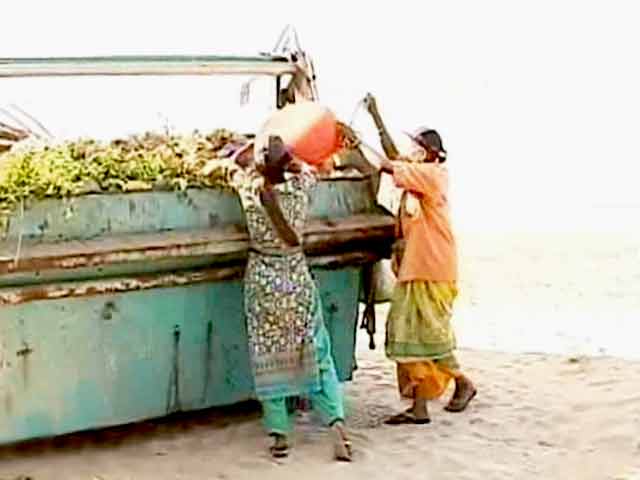 Citizens Step in to Beautify Juhu Beach