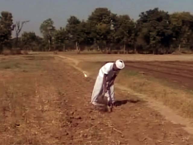 विशेष पैकेज से नाख़ुश कपास किसान गुजरात सरकार से नाराज़